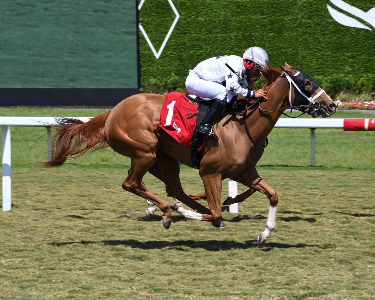 Deflection outruns Speightfulelection to deliver in race 5, ridden by @Pacolopez1018, saddled by @JFDAngelo, and owned by Tami Bobo. #GulfstreamPark #RoyalPalmMeet