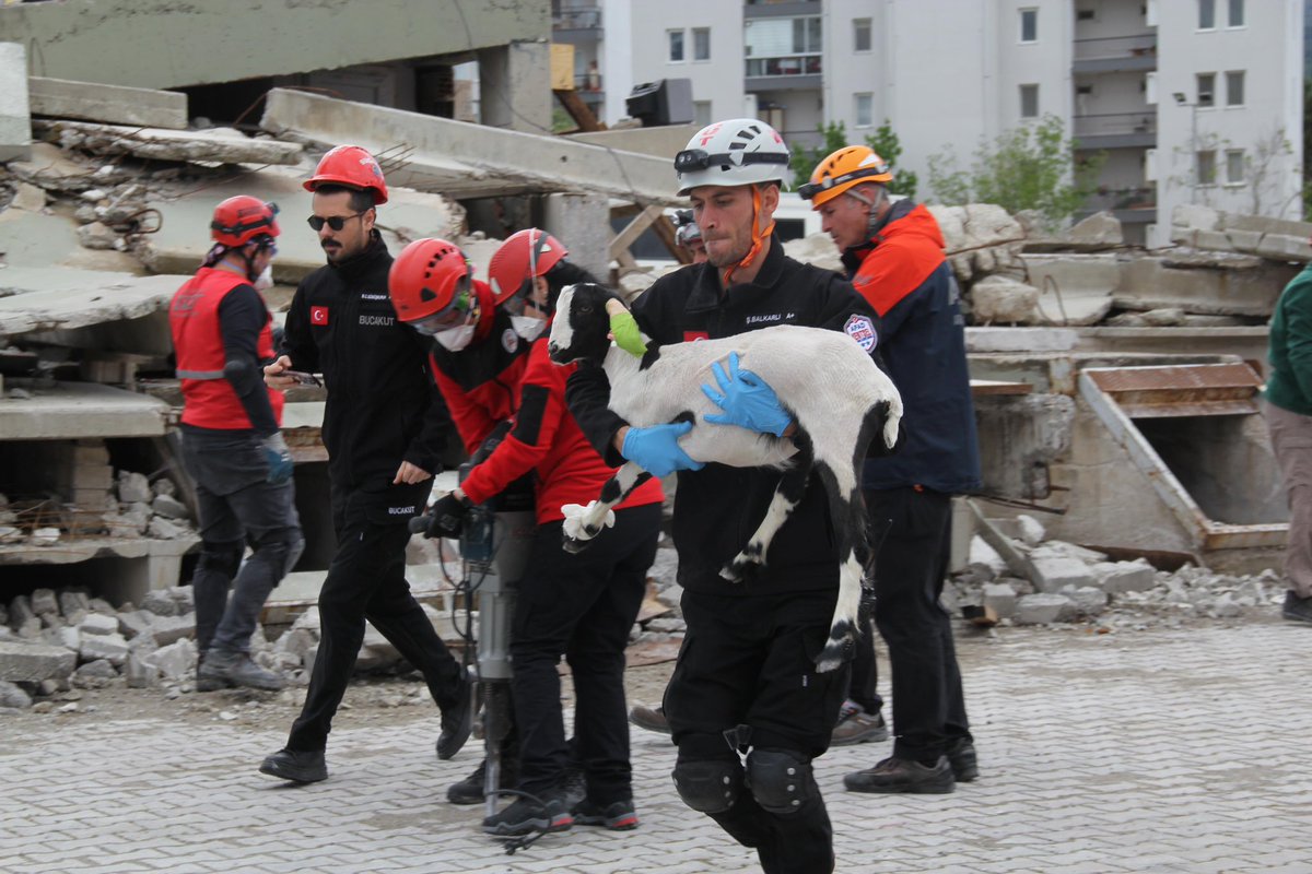 Milletvekilimiz Sn. @CeydaBC35 ile birlikte “Canlarımız Yanmasın’’ projemizin kapanışını saha tatbikatı ile tamamladık. Afetler karşısında hayvan dostlarımızı unutmayacağız. Can dostlarımız için elimizden gelen her türlü çalışmayı tüm hayvan severlerimiz ve dostlarımızla