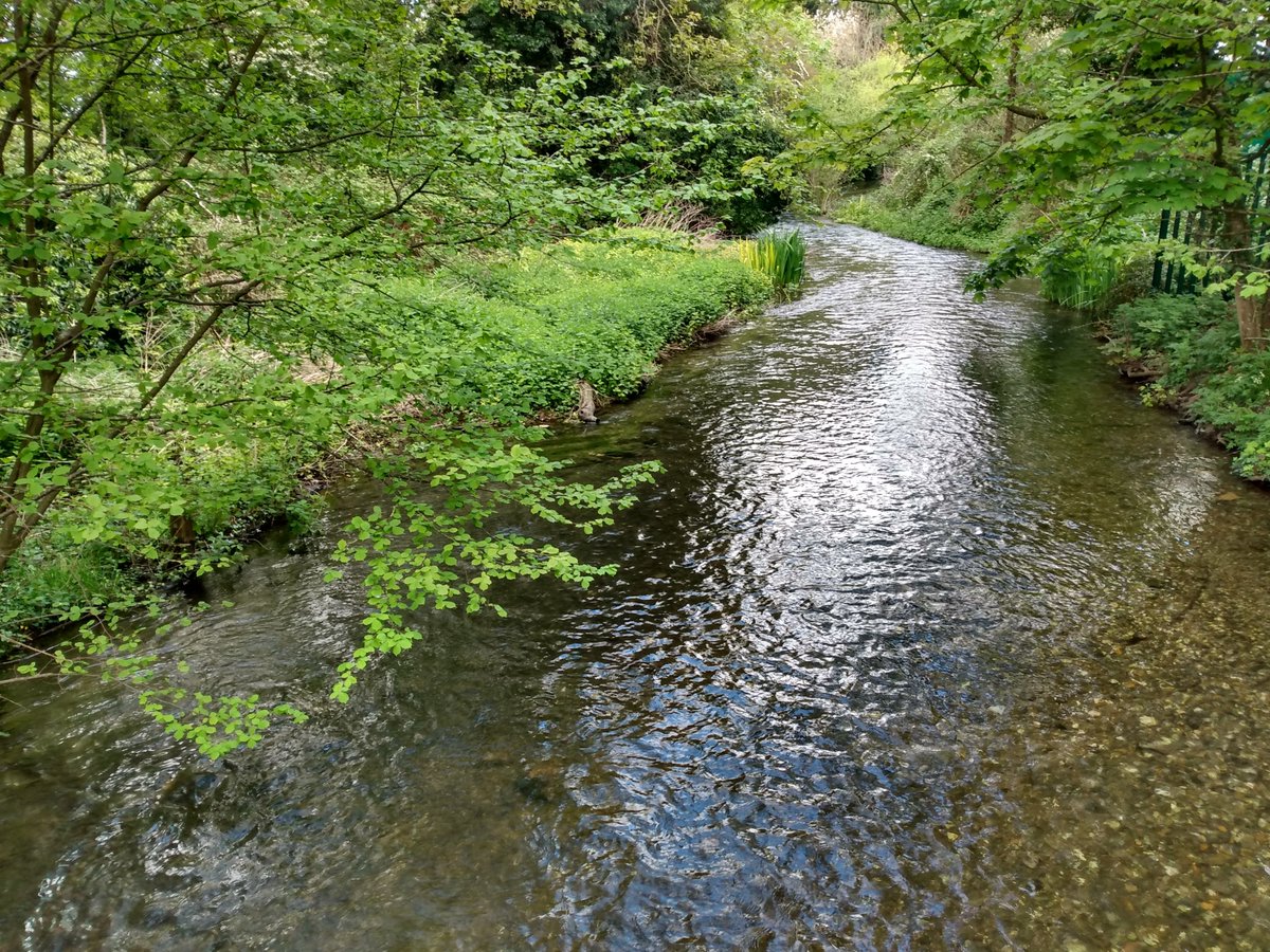 Wow...congrats to whoever thought up the #LondonLOOP!  Walked 11 miles or so today. In parts, it was difficult to believe I was still in a London Borough (#Bexley to #PettsWood). Well signposted throughout and full of surprises, inc.remains of 13th century manor house & moat!