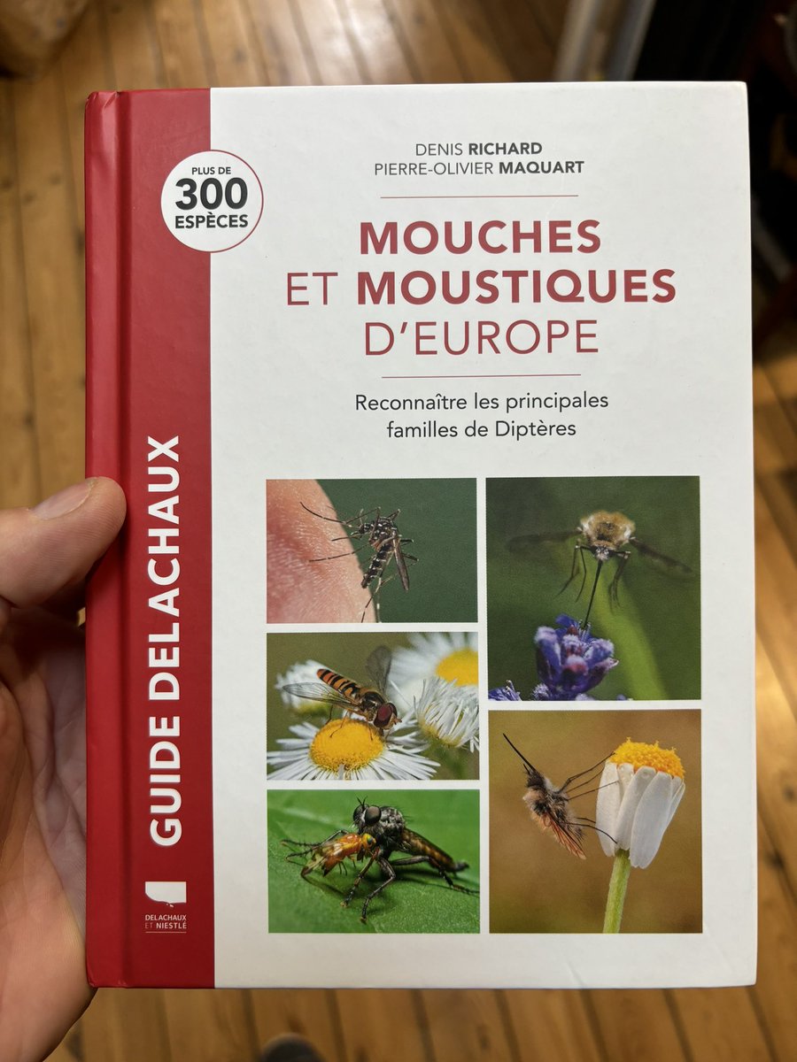 Réception ce matin du nouvel ouvrage de @ed_Delachaux sur les mouches et moustiques d’Europe co-ecrit pas Denis Richard et PO Maquart !! 😃👍🏻 Les 🪰 méritent d’être davantage mises en avant 😉 #insects #Biodiversité #nature