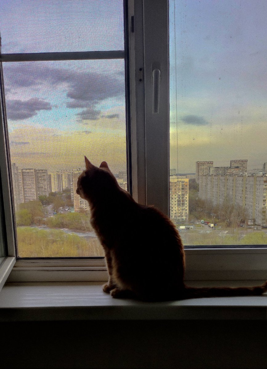 Hrista16's tweet photo. Закину сюда ещё несколько фоток, не пропадать же им) https://t.co/nnu4LmhSba