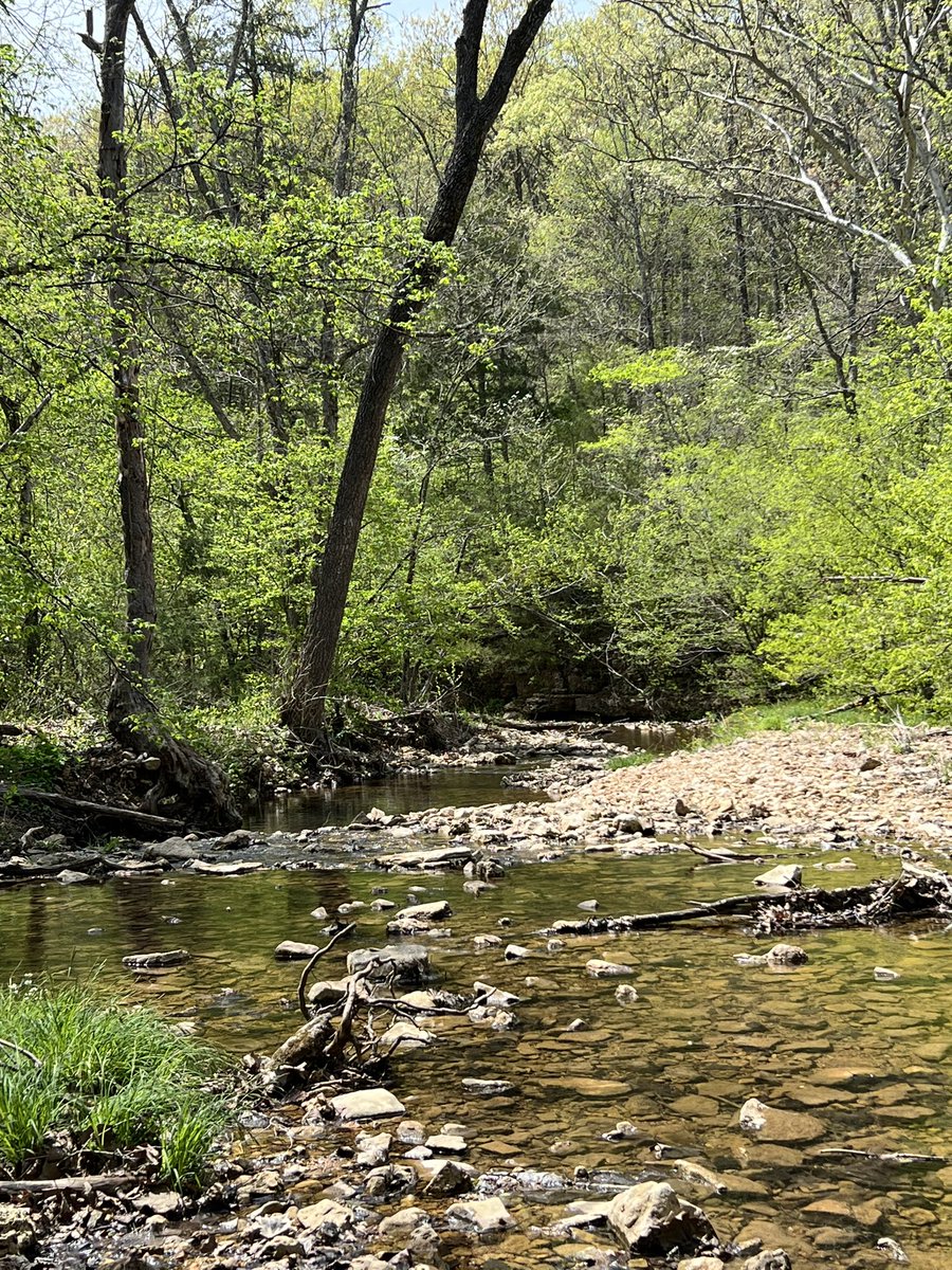 Becky Watson (@watson_rb132) on Twitter photo 