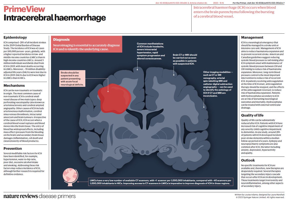 #Intracerebral #haemorrhage occurs when blood enters the brain parenchyma following the bursting of a cerebral blood vessel go.nature.com/3mN8UVC