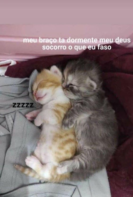 Memes para marcar ele(a) tweet media