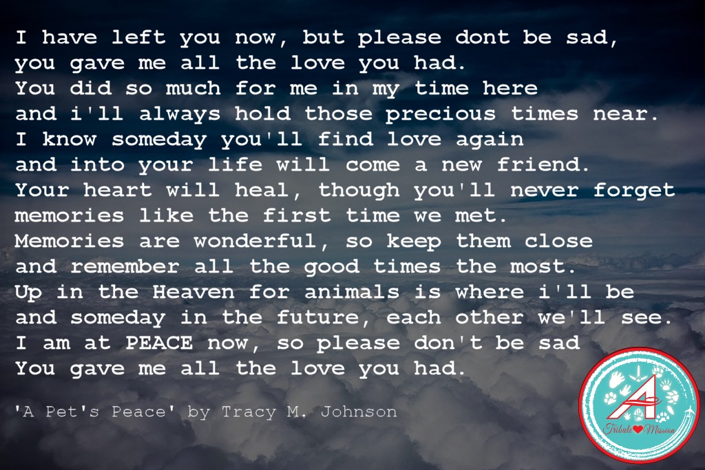 before we make our way back to Bearford, I would like to post one final thought  #TheAviators