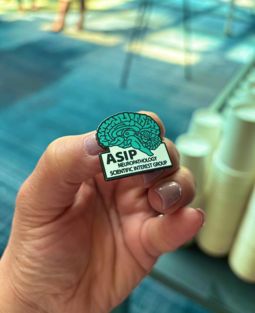 This!!! Our new Neuropathology SIG pin!! A must have, I would say!! Come and join this SIG with @ASIPath !! #Pathobiology2024
#ASIP2024