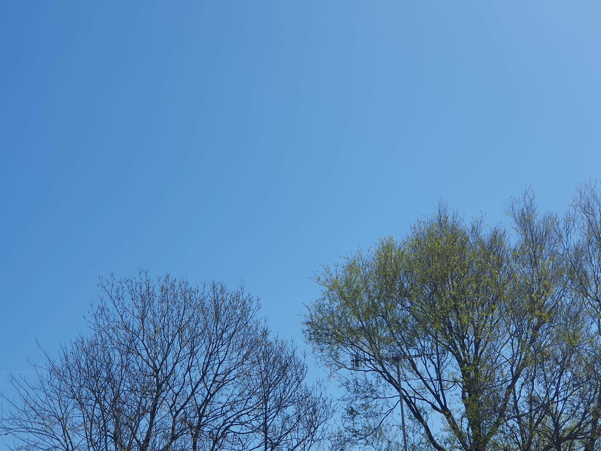 9Hype91077's tweet image. After not seeing the sun or blue sky for ages (seems like yrs) we're seeing the real sky (for the time being),long may it continue. A few #contrails today, which dissipated quickly, zero #chemtrails hope you aren't bored with my pictures of blue sky. I'm watching. #TheyKnowWeKnow