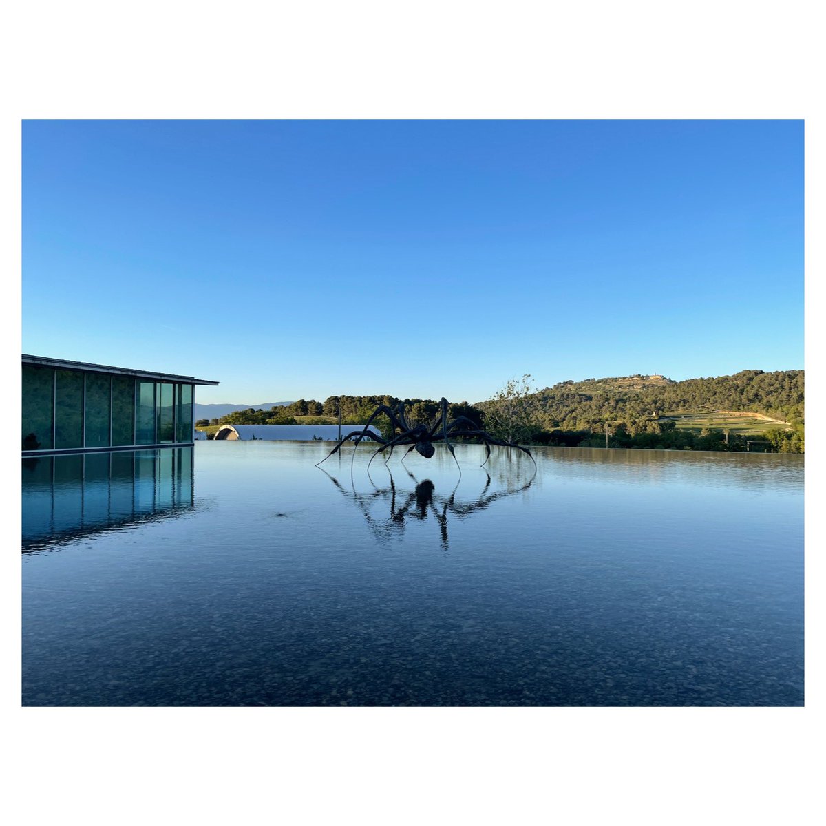 Château La Coste 

#chateaulacoste #reflection #reflectionphotography #picoftonight #magicplace #architecture #architecturephotography #landart #landscape #igersaixenprovence #provencealpescotedazur #artoftheday #grainedephotographe  #louisebourgeois #tadaoando