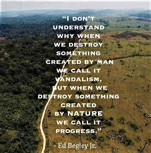 Green is a mission tweet media