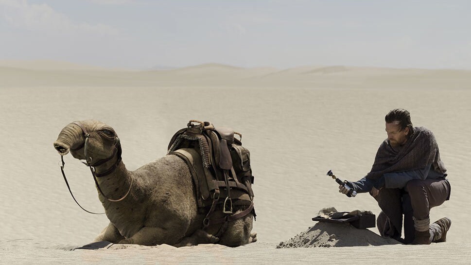 Snoot Camel.  That is all.