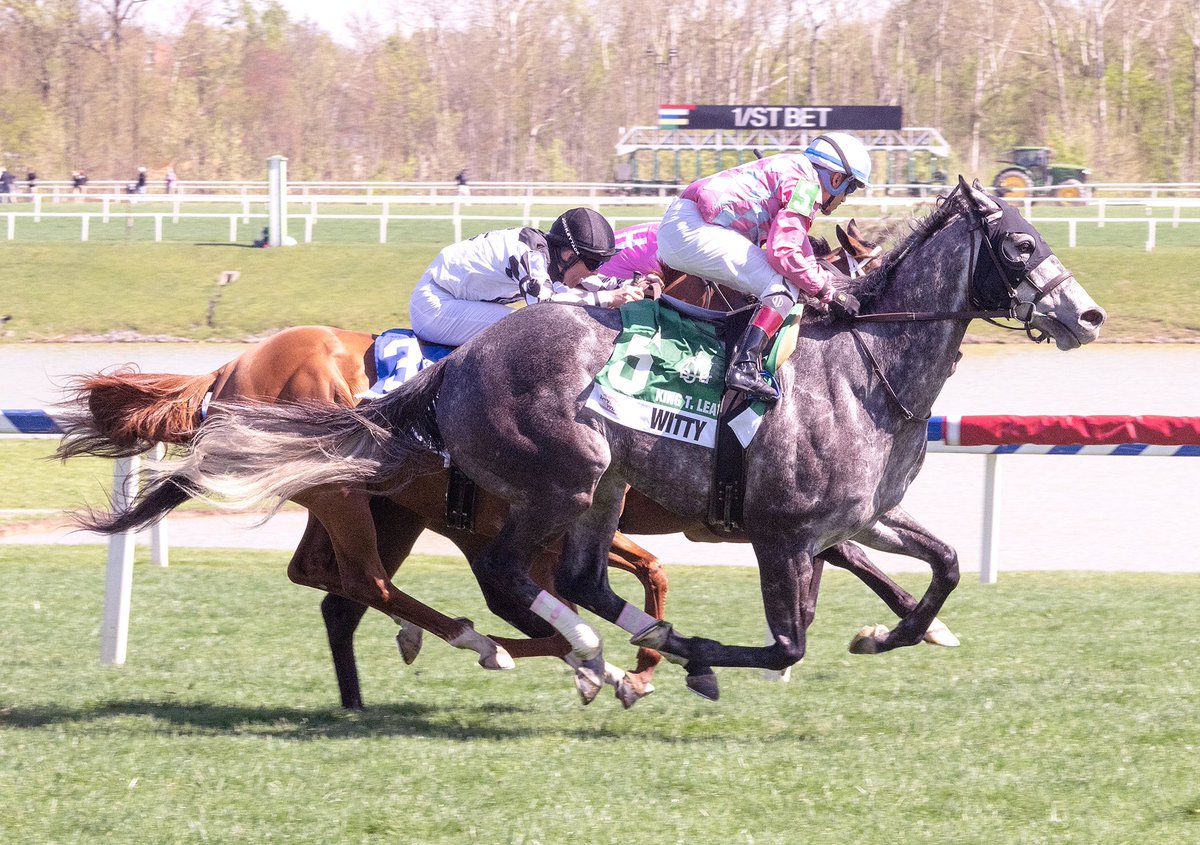 Maryland Horsemen (@mdhorsemen) on Twitter photo Witty, 2023 MD Turf Horse of the Year, makes 2024 debut and rallies from well back to win K.T. Leatherbury S. at 5 1/2F on turf <a href="/LaurelPark/">The Maryland Jockey Club, Inc.</a>. 5YO <a href="/PA_PHBA/">PA Bred</a> Great Notion gelding ridden by <a href="/JevianToledo/">Jevian Toledo</a> (4 wins) for B/O/T <a href="/LizzieMerryman/">Elizabeth Merryman</a>. (Jim McCue 📷) Witty, 2023 MD Turf Horse of the Year, makes 2024 debut and rallies from well back to win K.T. Leatherbury S. at 5 1/2F on turf <a href="/LaurelPark/">The Maryland Jockey Club, Inc.</a>. 5YO <a href="/PA_PHBA/">PA Bred</a> Great Notion gelding ridden by <a href="/JevianToledo/">Jevian Toledo</a> (4 wins) for B/O/T <a href="/LizzieMerryman/">Elizabeth Merryman</a>. (Jim McCue 📷)