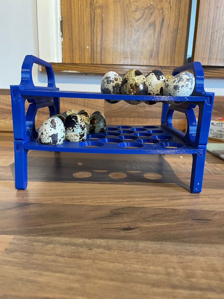 Latest little project, stackable quail egg trays! printables.com/model/850652-q…