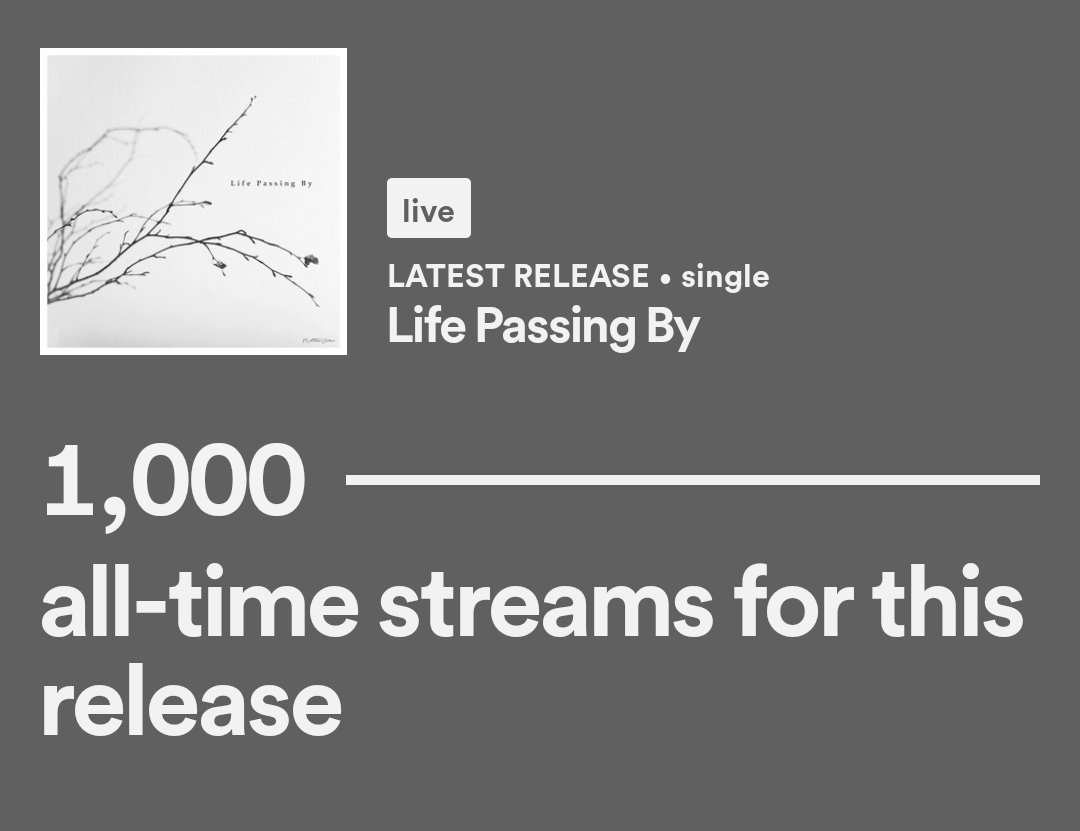 Thank you for 1000 streams ! 🎉