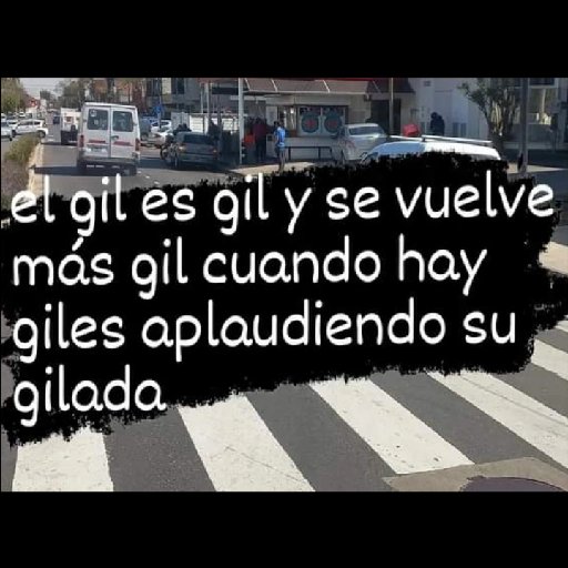 marmota tweet media