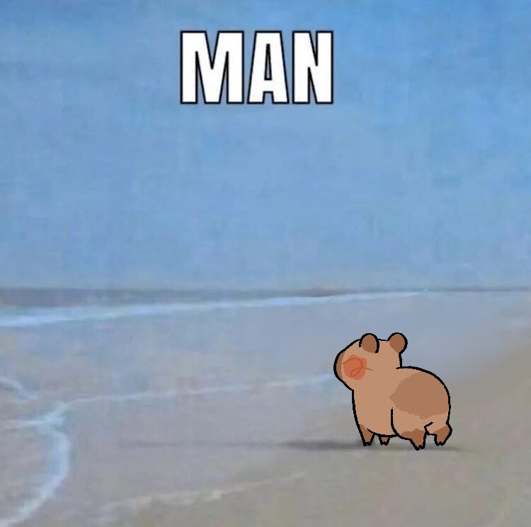 capydoodle's tweet image. 