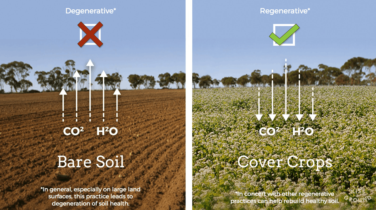 Regenerative is the best method for maintaining the natural water cycle.

Regenerative soil acts like a sponge, absorbing more rainwater and reducing runoff. Which helps plants grow, allows the groundwater to recharge, and mitigates floods.

Regenerative vs. Degenerative Farming: