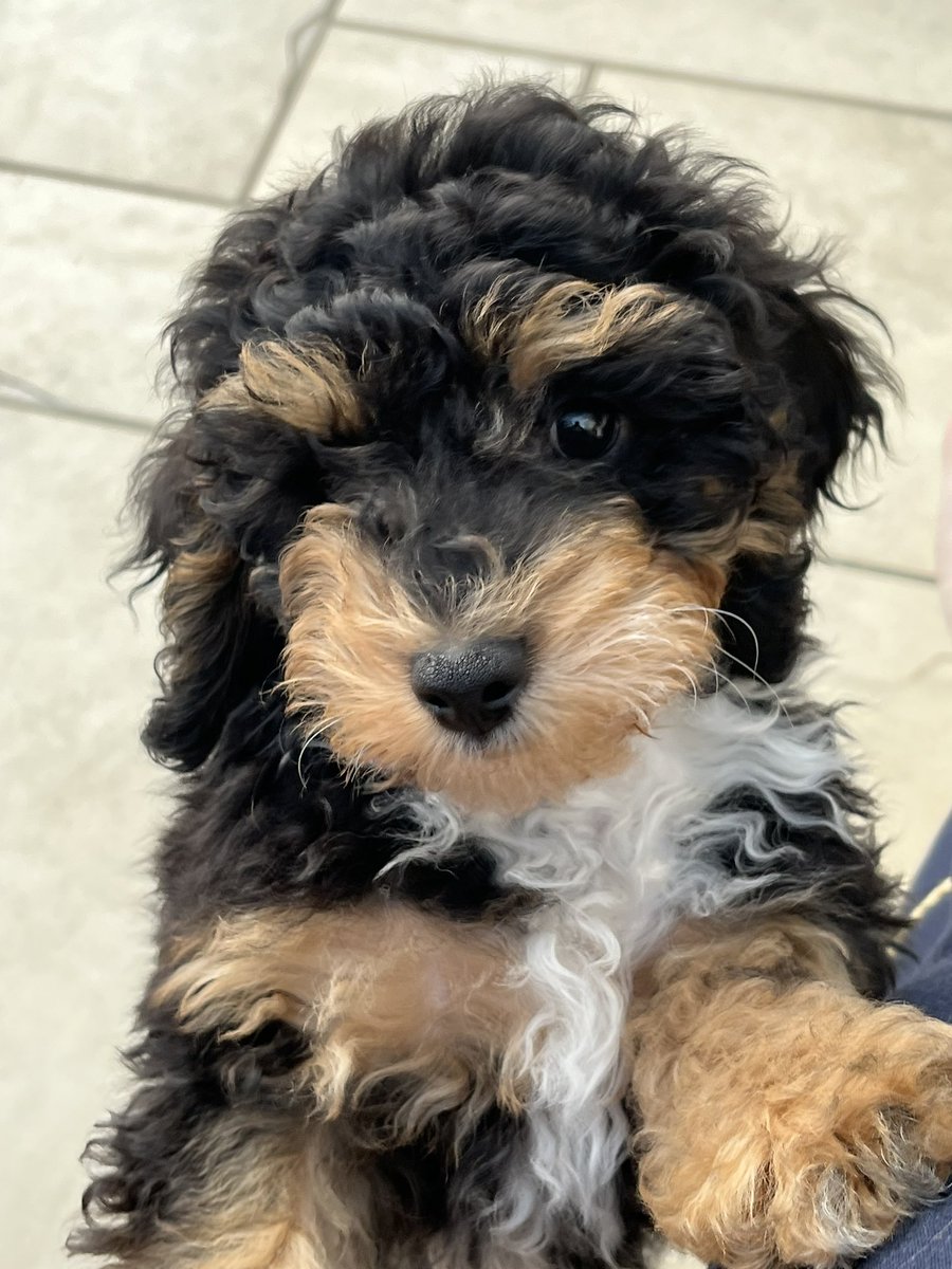 Live and vibing on ranked 😊 m.twitch.tv/thedustykettle Come Say Hi