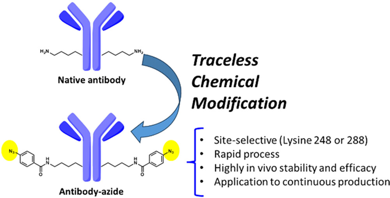 AJICAP-M: A novel traceless antibody modification method using affinity peptides. Delivers potent, stable site-selective ADCs. Achieved ADC production within 5 minutes in a flow microreactor. See the work in #OrgLett by @Matsuda_PhDPhD et al. pubs.acs.org/doi/10.1021/ac…