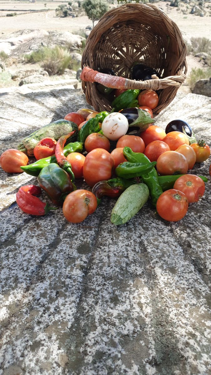 Una contribucion para entender los problemas de la Agricultura hoy. | Profesionales Cristianos profesionalescristianos.com/una-contribuci… 
<a href="/px_ace/">PX_ACE</a> <a href="/ACGevangelizar/">Acción Católica Gral</a> <a href="/ArchiMridaBadaj/">Archi Mérida-Badajoz</a> <a href="/archivalencia/">Archidiócesis de Valencia</a> <a href="/archimadrid/">Archidiócesis de Madrid</a> <a href="/ArchiZaragoza/">Archidiócesis de Zaragoza</a> <a href="/DiocesisBilbao/">@DiocesisBilbao</a> <a href="/diocesiszamora/">Diócesis de Zamora (SP)</a> @jecspain