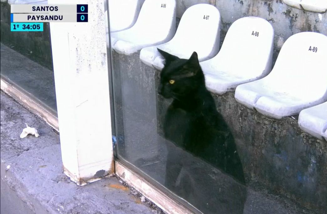Pesgrau's tweet photo. Torcedor do Santos muito insatisfeito com o resultado na série B https://t.co/sdKrAVSXfq