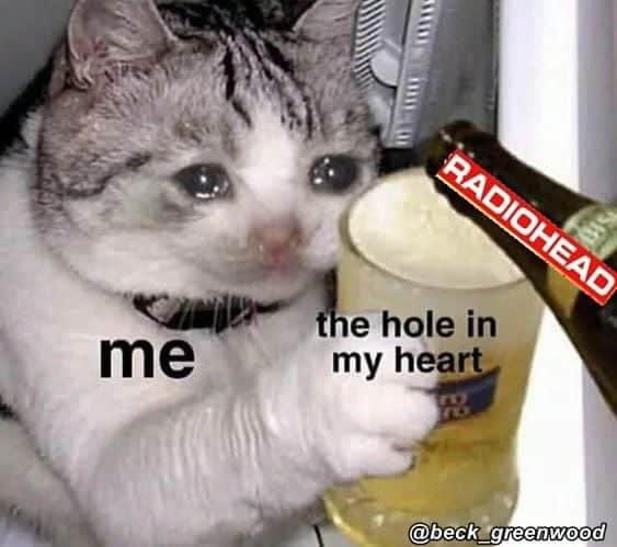 RadioheadClub's tweet photo. 😿 https://t.co/znAvP5D0n2
