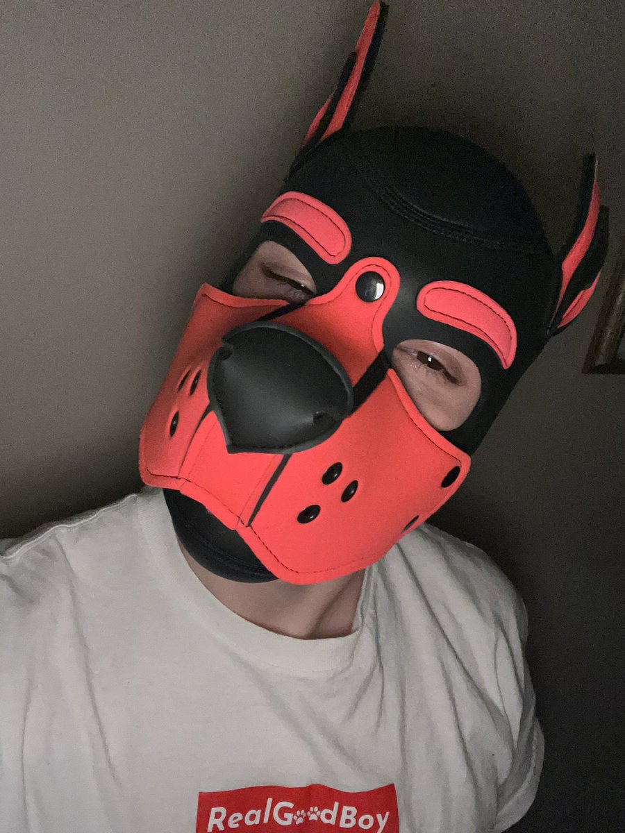 Zander 🐶 (@zander_pup) / Posts / X