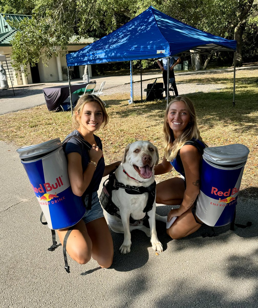 OscarTherapyDog's tweet photo. Hey @redbull in case you need a spokes dog, Oscar could use some wings. #therapydog #redbull #spokesdog #goodboy https://t.co/kGIqvvPKXi