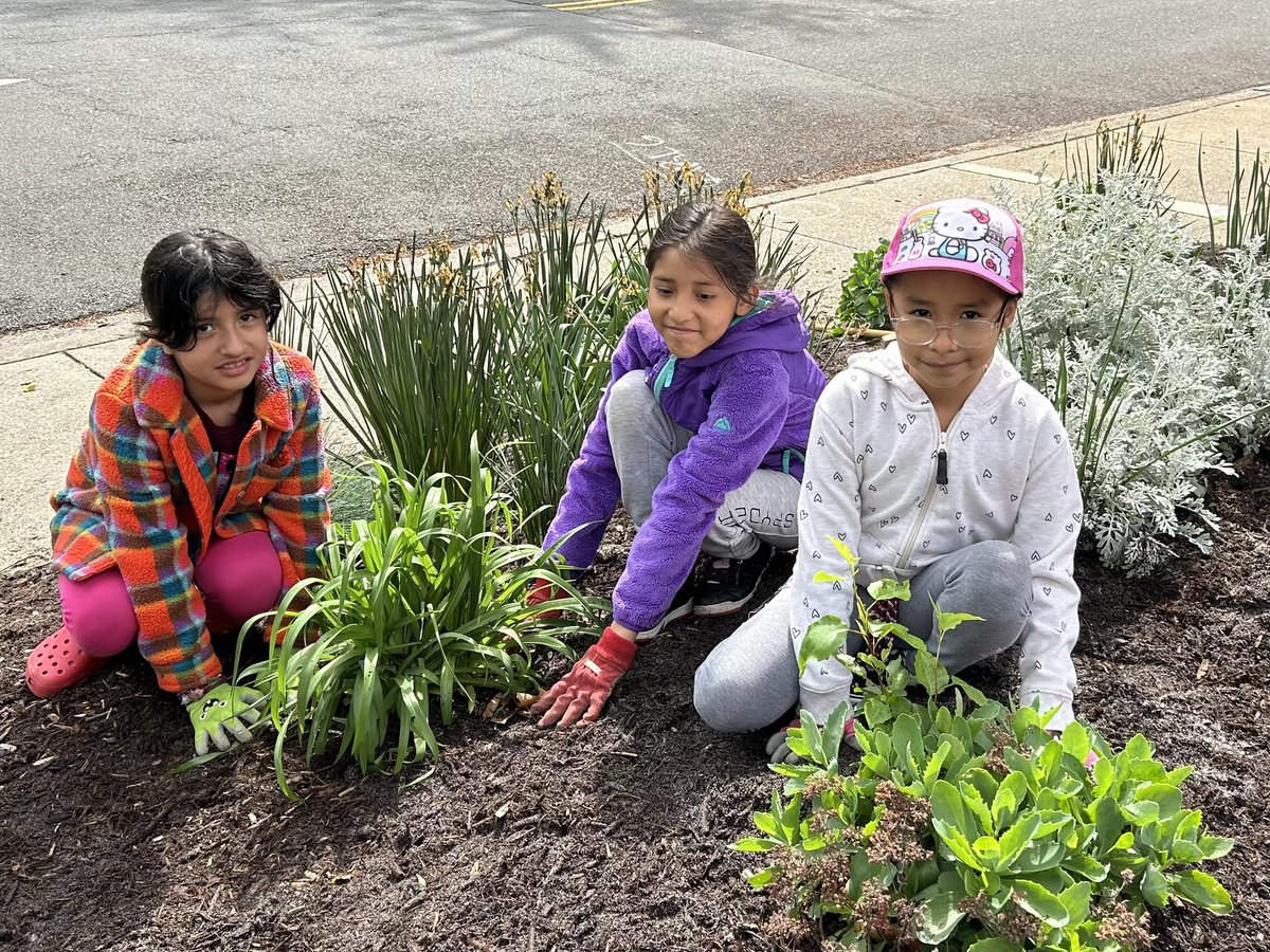 principal_aps's tweet photo. What a beautiful day to make our front yard look even more beautiful than it already is!! Thanks to all volunteers for helping us pull weeds, spread mulch and plant flowers! @RandolphPta @RandolphStars @AP_Randolph @RachelGunaward1 #APSgreen #WhoWeAre #SharingThePlanet https://t.co/Vongsa59PR