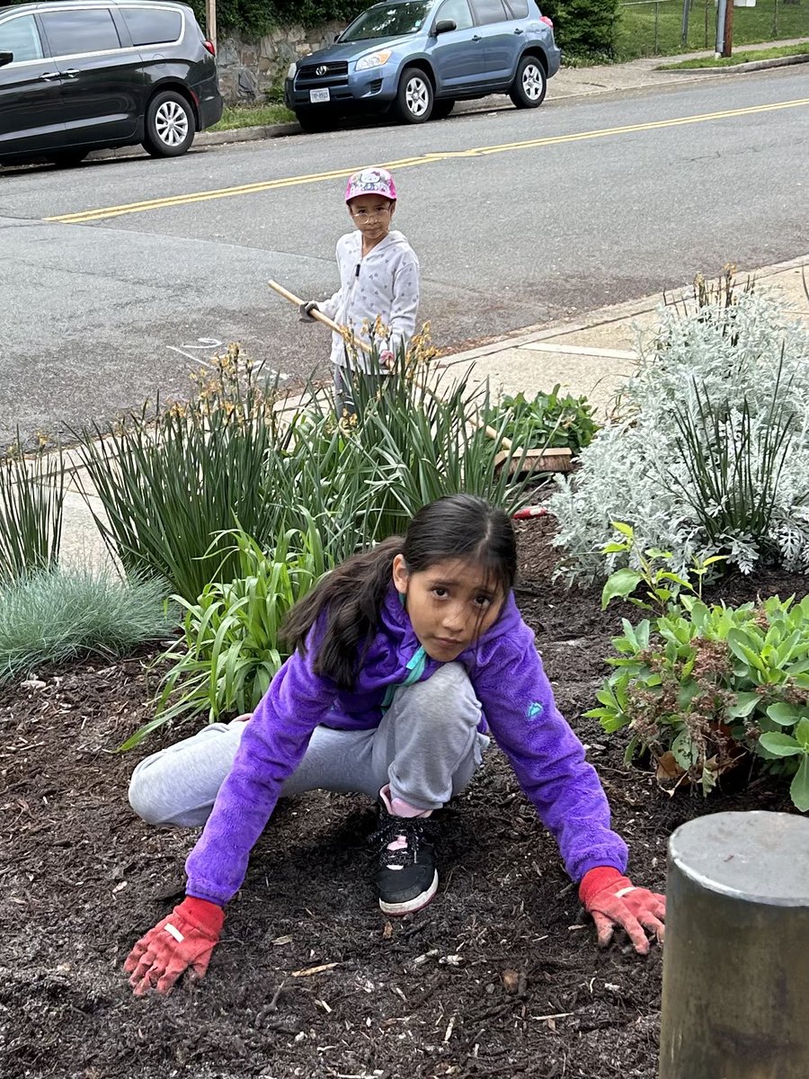 principal_aps's tweet photo. What a beautiful day to make our front yard look even more beautiful than it already is!! Thanks to all volunteers for helping us pull weeds, spread mulch and plant flowers! @RandolphPta @RandolphStars @AP_Randolph @RachelGunaward1 #APSgreen #WhoWeAre #SharingThePlanet https://t.co/Vongsa59PR