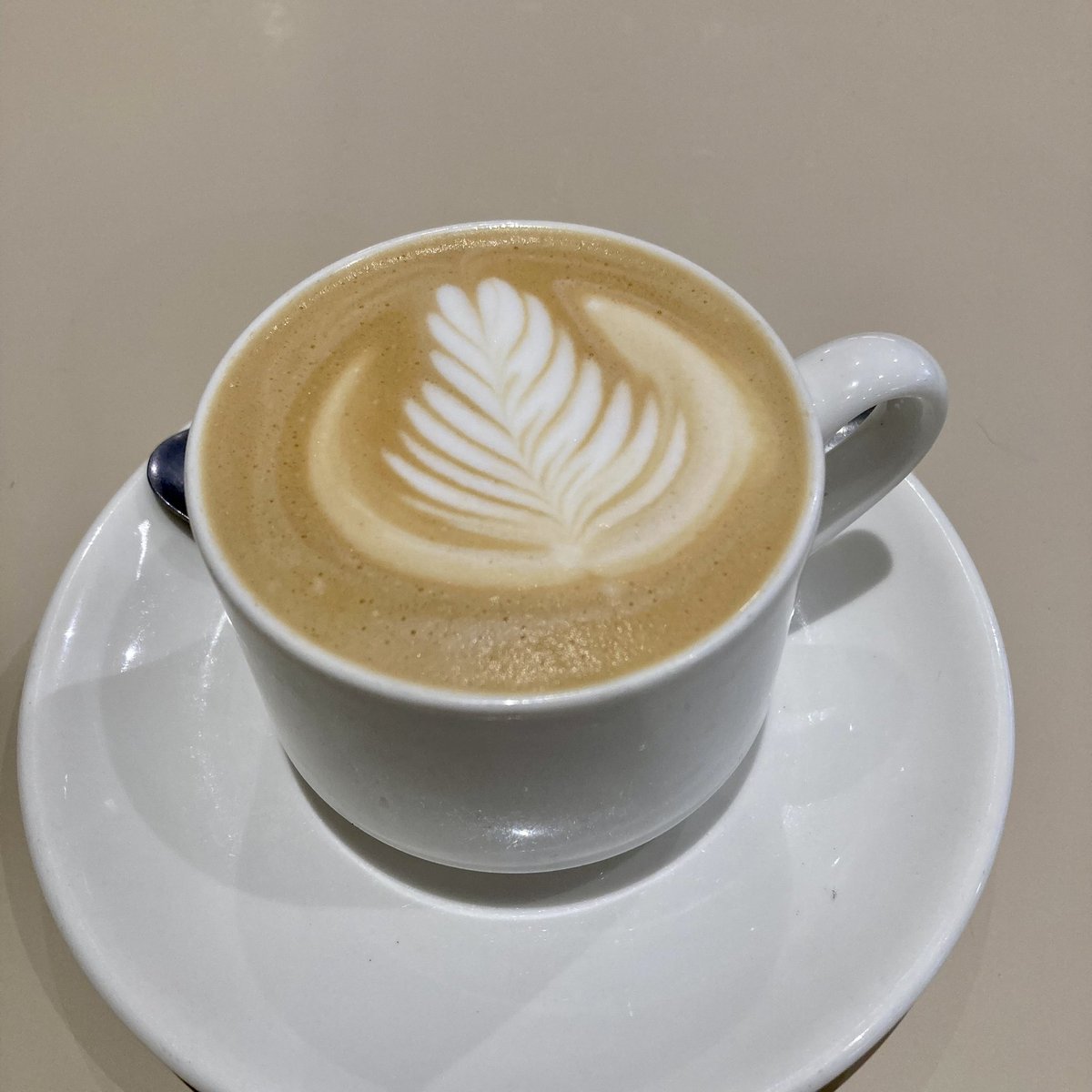 Beatriz González tweet media