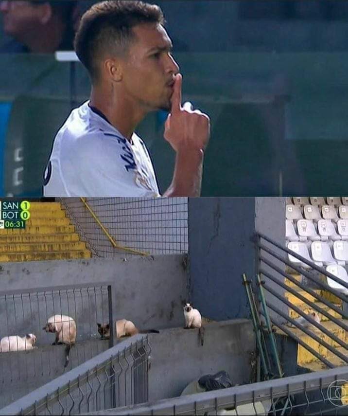 hoje é dia de fazer gol e comemorar assim