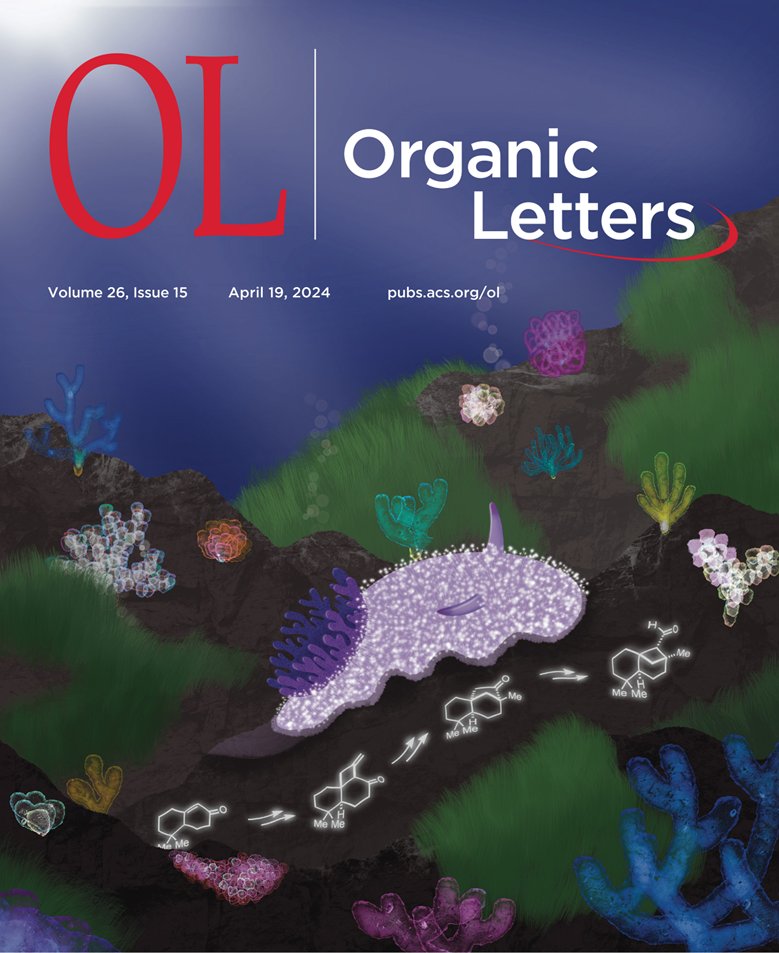 Here it is, our latest issue of #OrgLett. The cover illustrates the dorid nudibranch Acanthodoris nanaimoensis and the synthetic key intermediates of the sesquiterpenoide acanthodoral as its snail trail. Check out the whole issue: pubs.acs.org/toc/orlef7/26/…