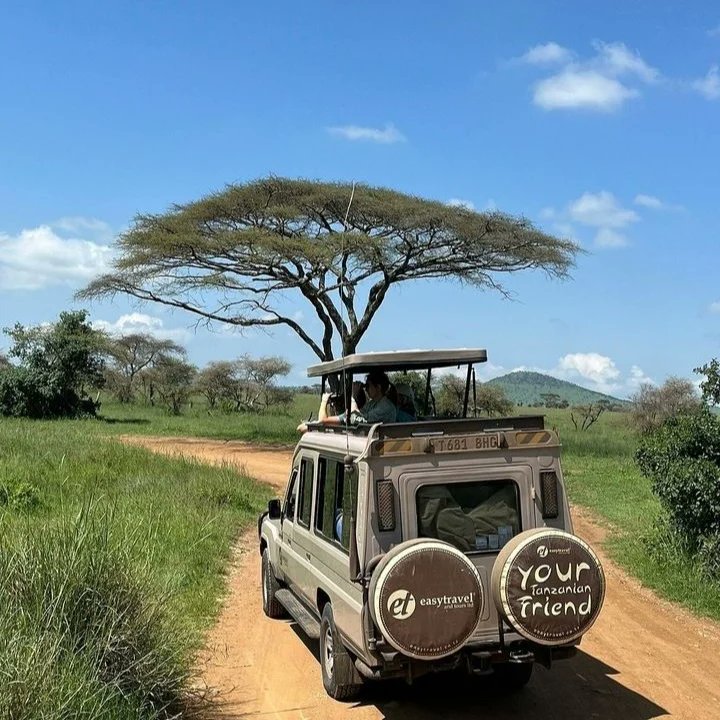 HorizonTours_'s tweet photo. Travel with us and adventure the world https://t.co/mN8wYfrn8j
