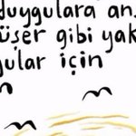 Photo by cemre (@blemiyorum)