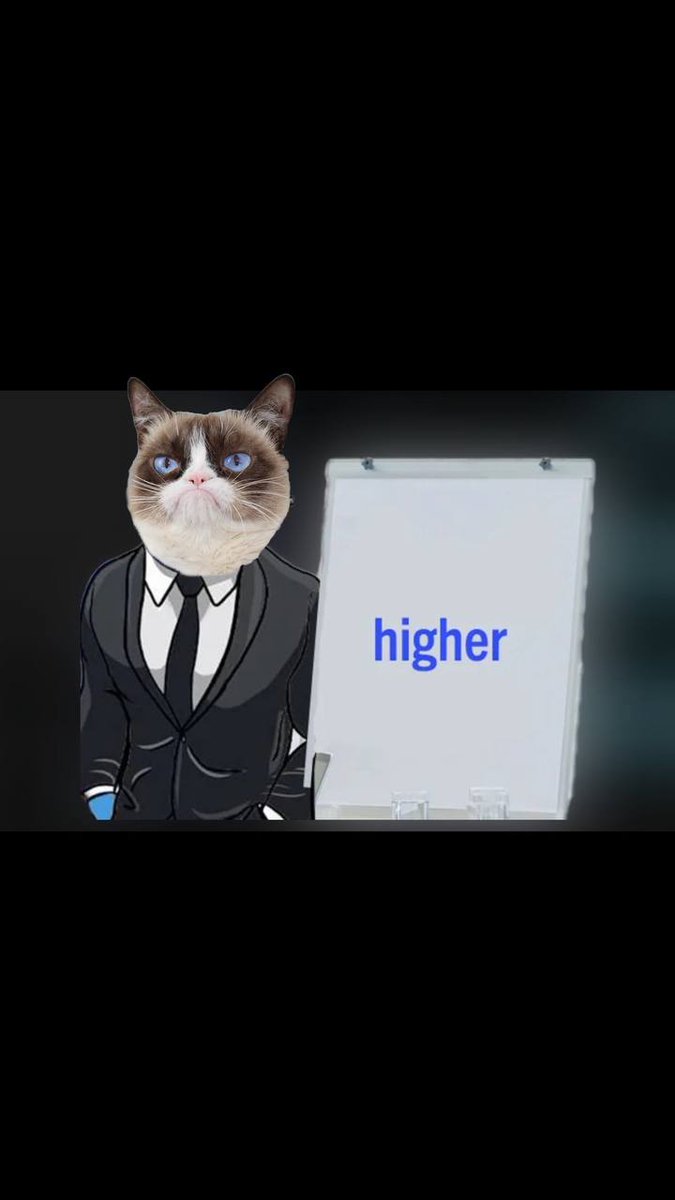 CryptoClassic99's tweet image. Check out $GRUMPY @GrumpyCatonBase
