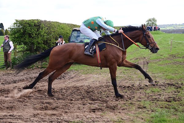 Keops Des Bordes ridden by James Walsh for Donnchadh Doyle’s @MonbegStables won todays 4yo geldings maiden at Loughanmore 📸 healyracing.ie