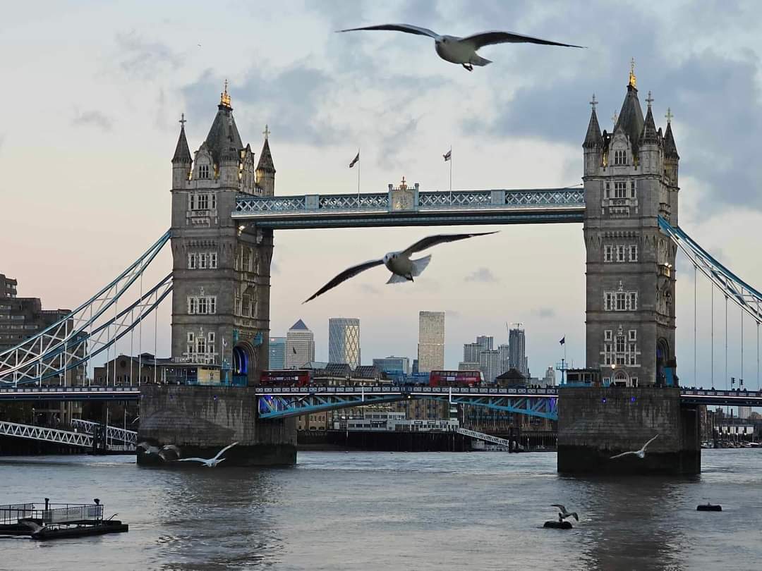 Jacky Summerfield 🏴󠁧󠁢󠁥󠁮󠁧󠁿 tweet media