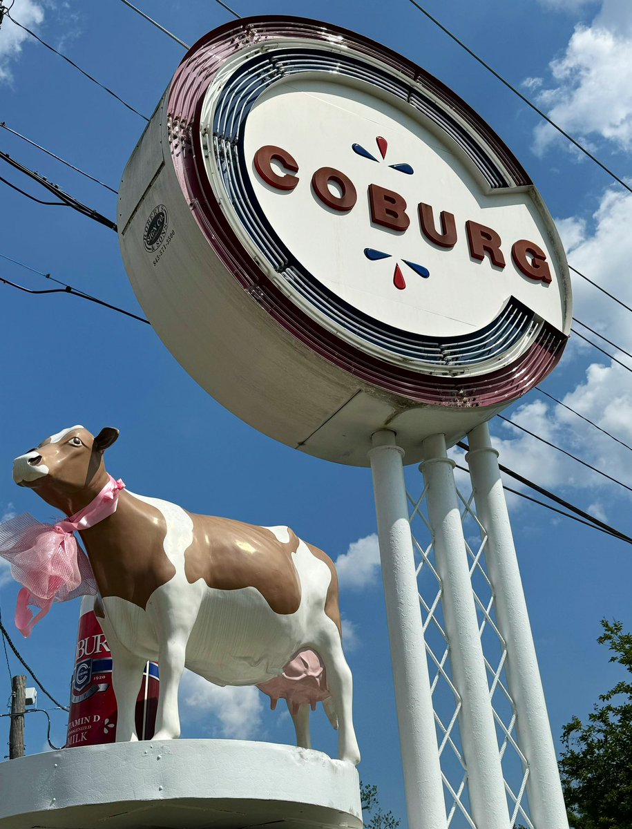 Everything in Charleston looks better with a touch of pink even our beloved Coburg Cow