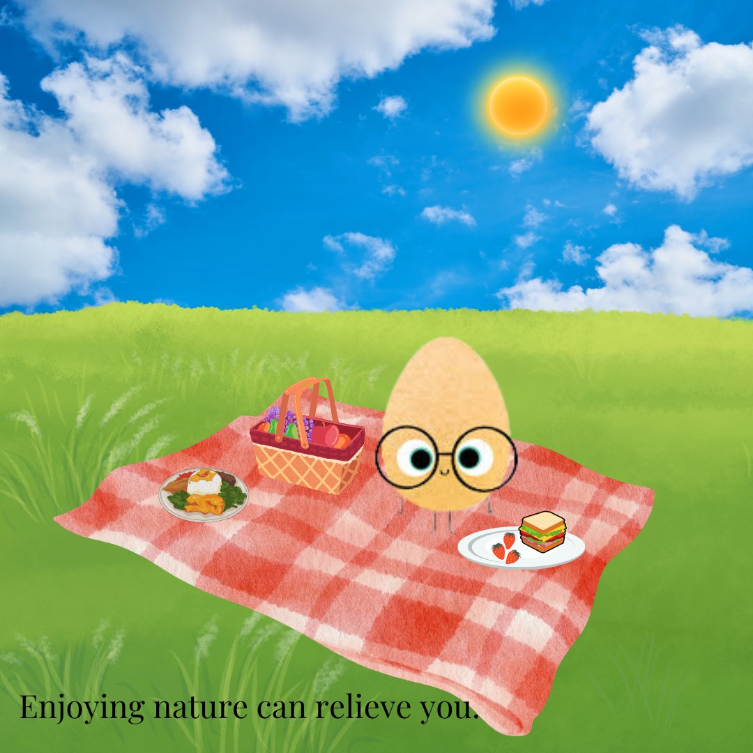 Tara Bova tweet media