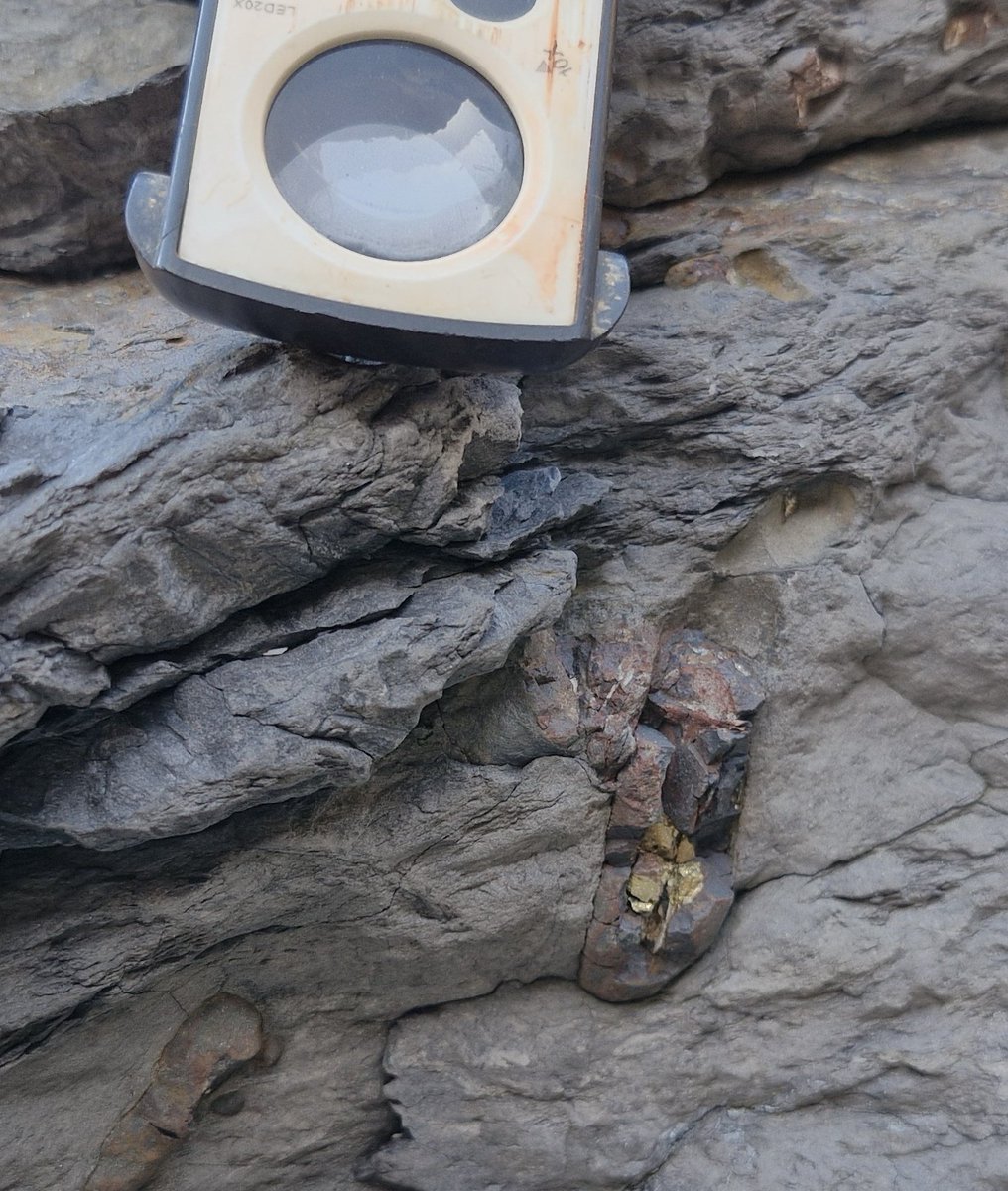 morgan_bugler's tweet image. First day for undergraduates on the Tenby field trip at Broad Haven. @JRawlingsVolc @OceanEarthUoS