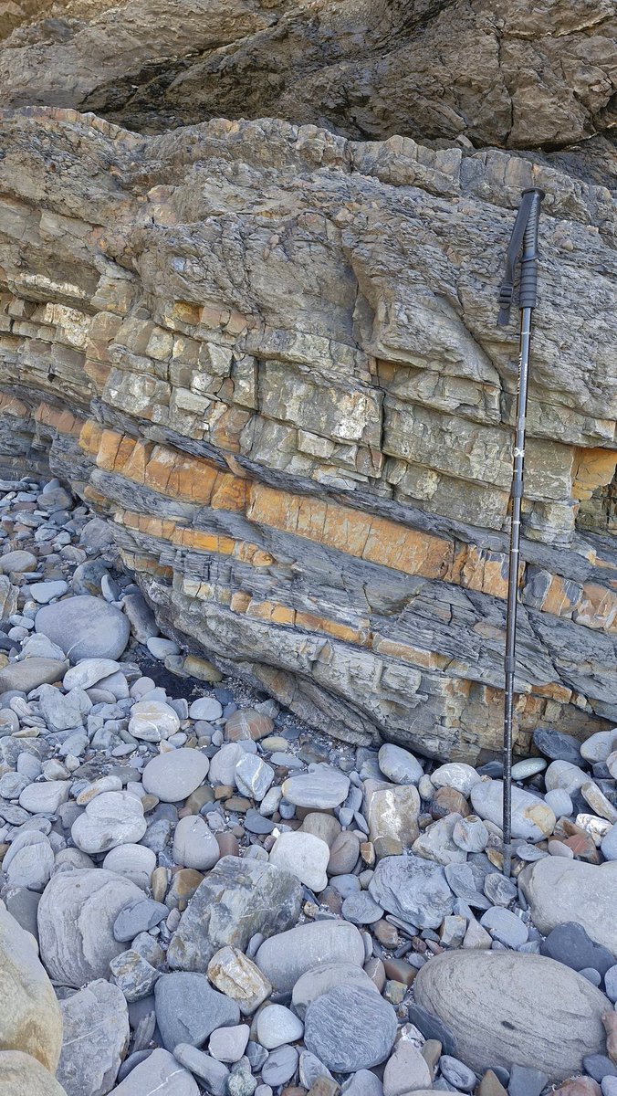 morgan_bugler's tweet image. First day for undergraduates on the Tenby field trip at Broad Haven. @JRawlingsVolc @OceanEarthUoS