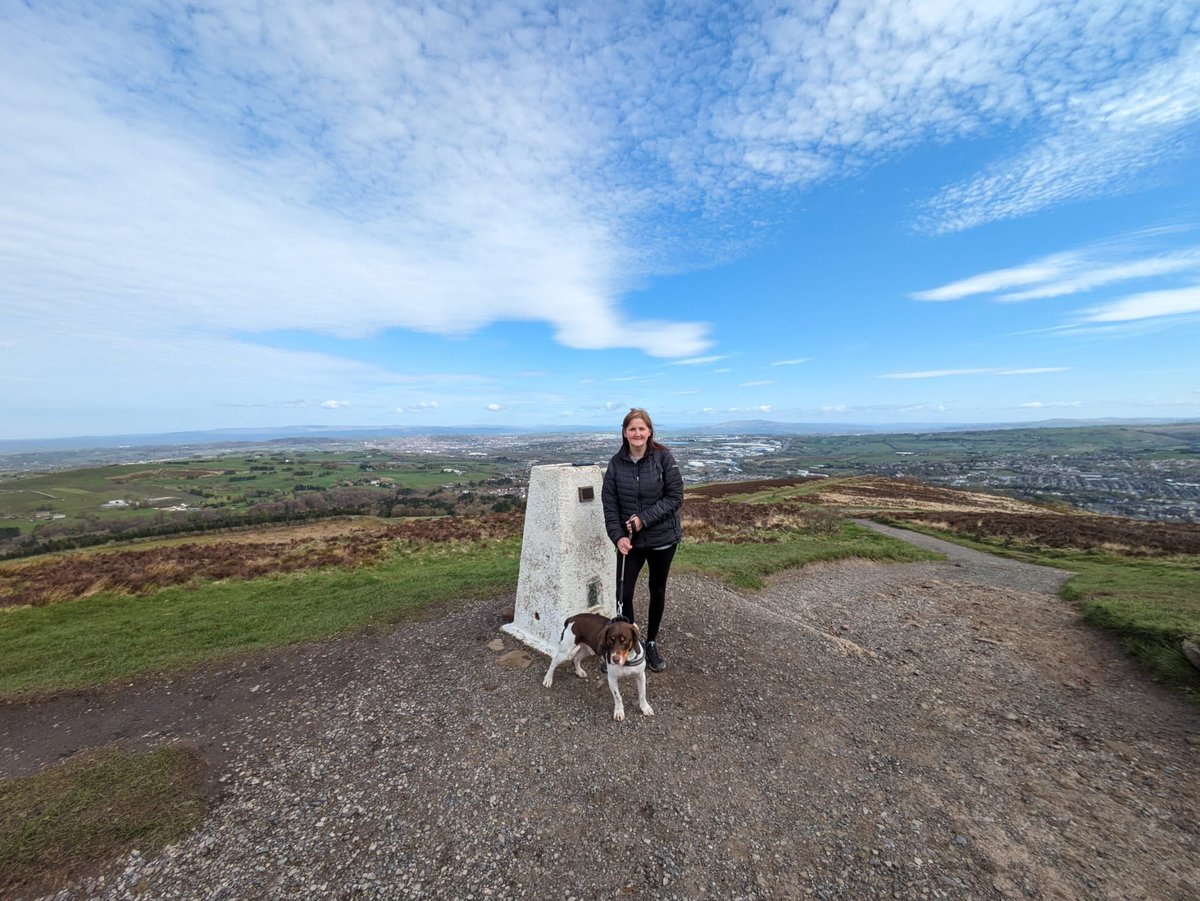 SciTech Em tweet media