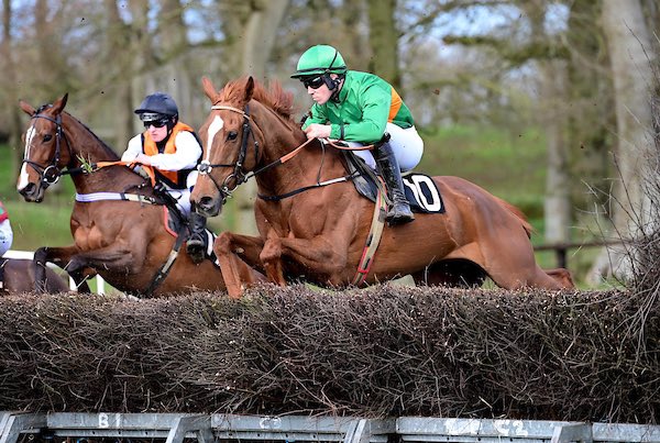 Cherry Brave @oranmcgill winner of the 5yo mares maiden in Loughanmore for @NoelCKelly1 📸 healyracing.ie