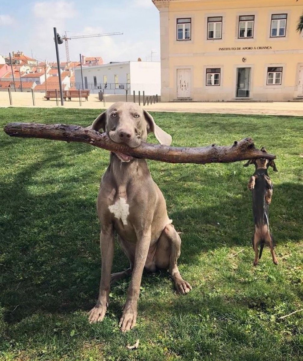 Branch manager and assistent to the branch manager..