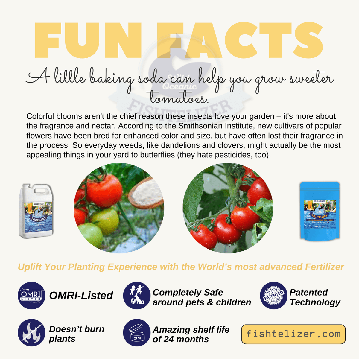 Fishtelizer's tweet photo. FUN FACT ABOUT PLANTS 📢🌱☀️ 🕵️‍♀️

Follow @fishtelizer for interesting content 😍😍

Shop Now: https://t.co/RmUV3akAFC

#planting #gardening #gardeningathome #growvegetablesathome #boostplantgrowth #hydroponics #madeinusa #funfacts #plantsfacts #plantingfacts #microorganisms https://t.co/CYX1sc2q0V