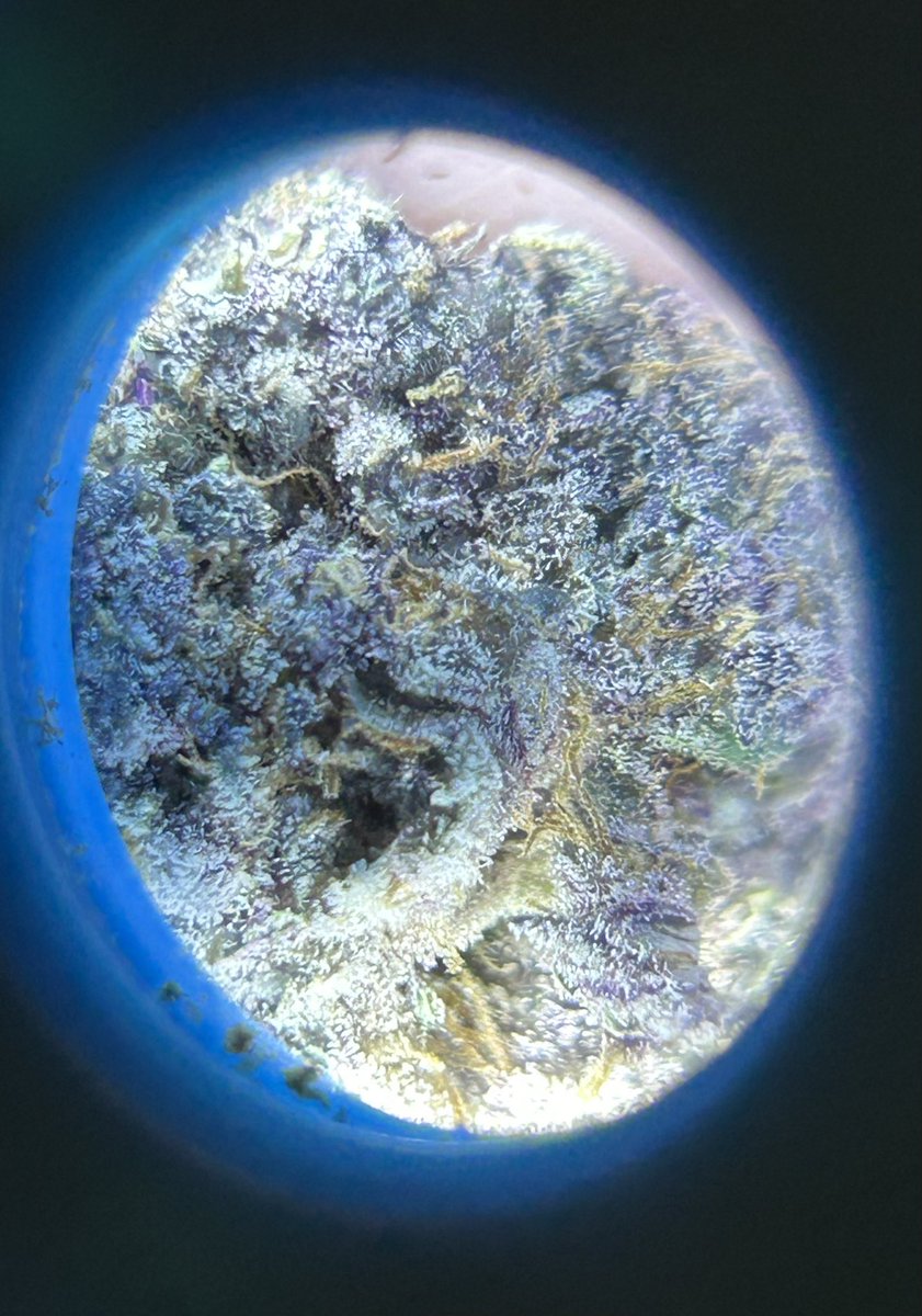 SWeeTCanDY757's tweet photo. #PinkCookies 🤤🤤🤤 https://t.co/o32CM3NWWc
