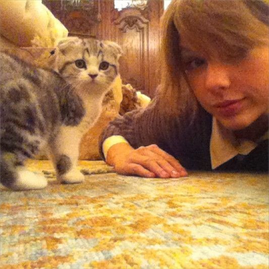 Ellen Pompeo diz a revista 'People' que o sucesso de #GreysAnatomy é graças a Taylor Swift e sua gata Meredith. 😂 “Shonda Rhimes é uma grande escritora. Em segundo lugar, Taylor Swift deu a sua gata o nome de Meredith Grey! Estou brincando. É por causa dos nossos fãs incríveis”