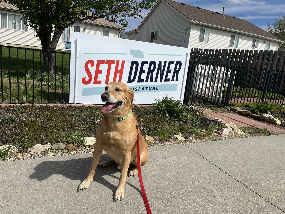 bigmayns's tweet photo. Bear and I back @DernerForLeg https://t.co/PcdKtfWTb9
