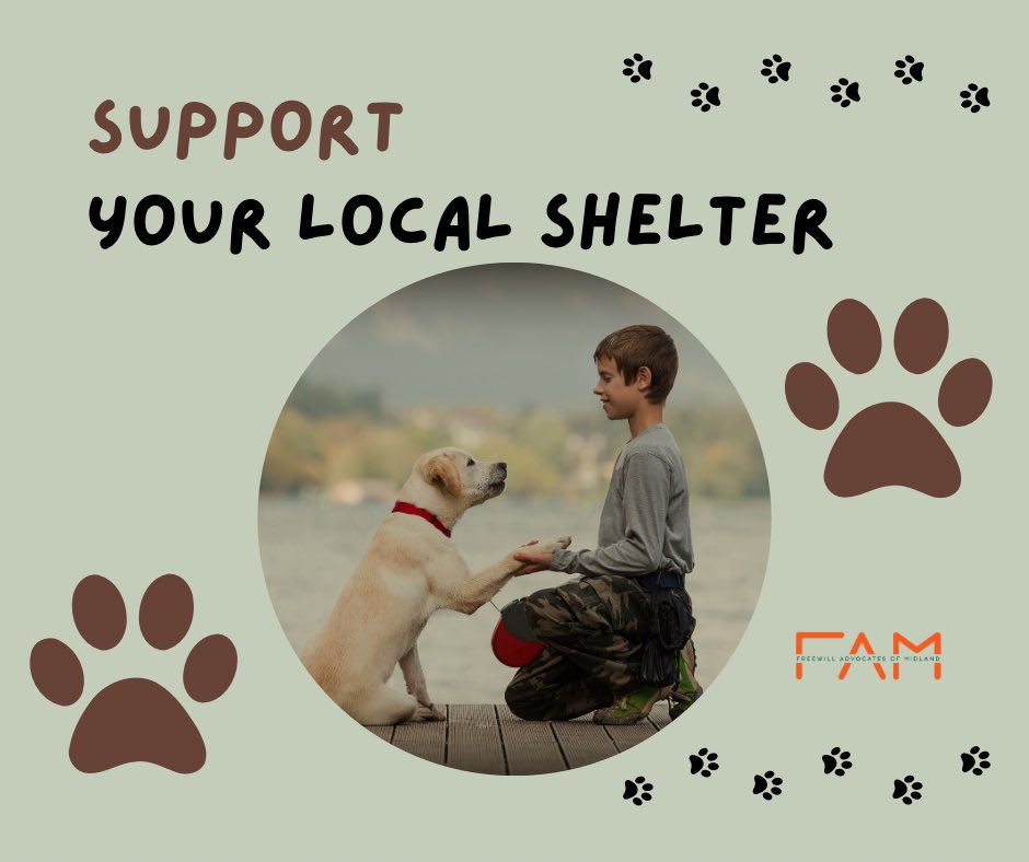 FreewillMidland's tweet photo. On Thursday April 18 the Midland TX Animal Services Director said a distemper outbreak would likely require that dozens of animals be euthanized. 

Local advocates have been working tirelessly to find homes for the dogs by Saturday April 20. https://t.co/L4uJyvkcqo
