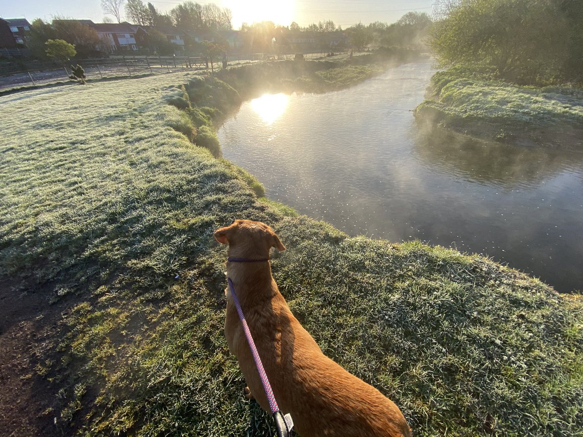 Taken minutes after someone decided to drop his ball into the water and go for an pre 7am swim